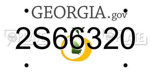 2S66320 Georgia License Plate
