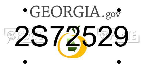 2S72529 Georgia License Plate