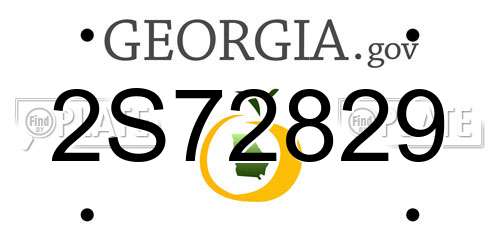 2S72829 Georgia License Plate