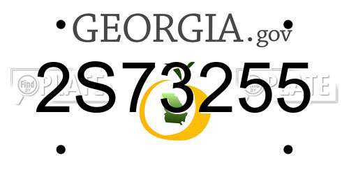 2S73255 Georgia License Plate