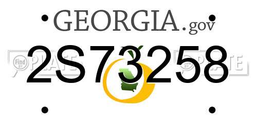 2S73258 Georgia License Plate