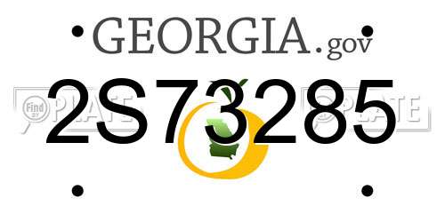2S73285 Georgia License Plate