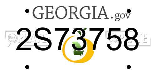 2S73758 Georgia License Plate