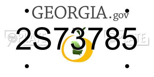 2S73785 Georgia License Plate