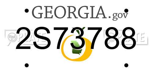 2S73788 Georgia License Plate