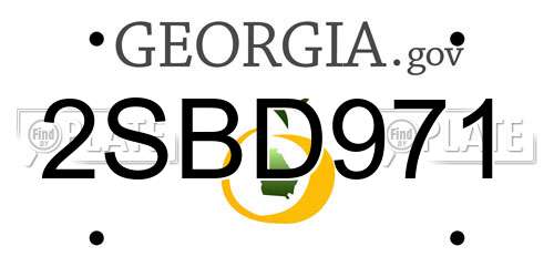 2SBD971 Georgia License Plate