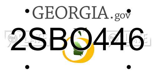 2SBO446 Georgia License Plate