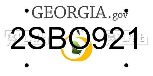2SBO921 Georgia License Plate