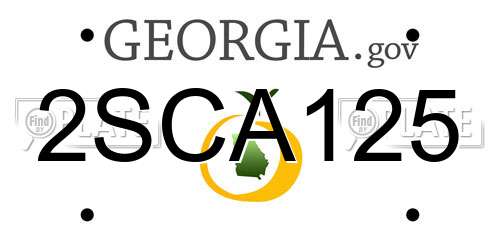 2SCA125 Georgia License Plate
