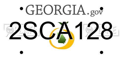 2SCA128 Georgia License Plate