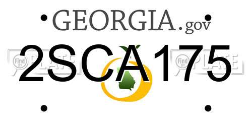 2SCA175 Georgia License Plate