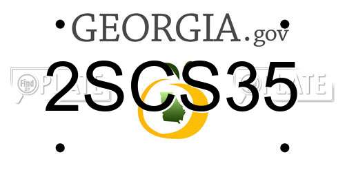 2SCS35 Georgia License Plate