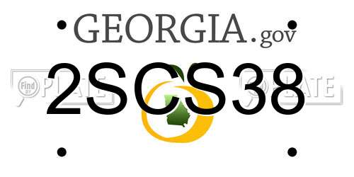 2SCS38 Georgia License Plate