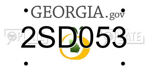 2SD053 Georgia License Plate
