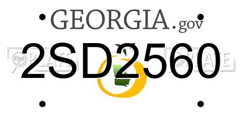 2SD2560 Georgia License Plate