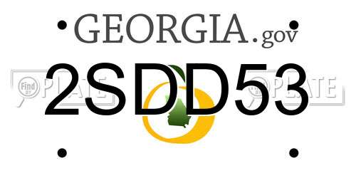2SDD53 Georgia License Plate