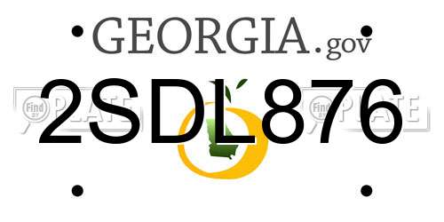 2SDL876 Georgia License Plate