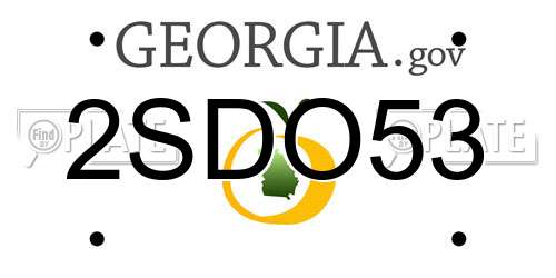 2SDO53 Georgia License Plate
