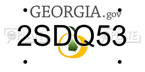 2SDQ53 Georgia License Plate