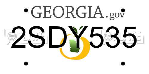 2SDY535 Georgia License Plate