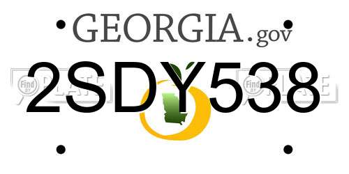 2SDY538 Georgia License Plate