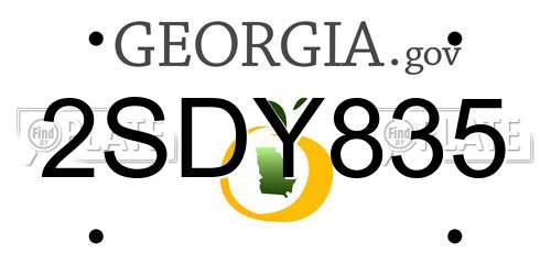 2SDY835 Georgia License Plate