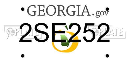 2SE252 Georgia License Plate