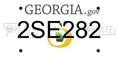 2SE282 Georgia License Plate