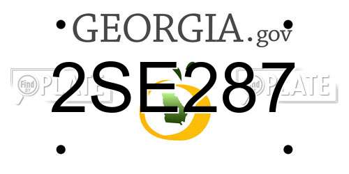 2SE287 Georgia License Plate