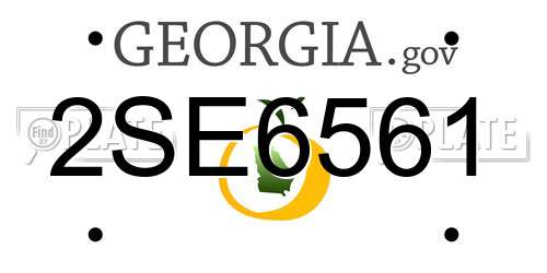 2SE6561 Georgia License Plate