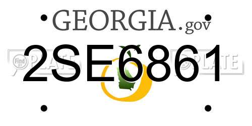 2SE6861 Georgia License Plate