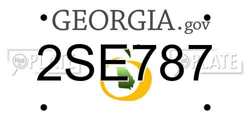 2SE787 Georgia License Plate