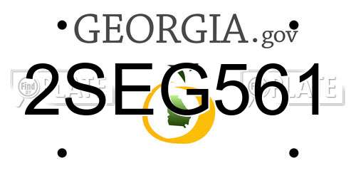 2SEG561 Georgia License Plate