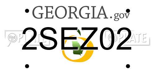 2SEZ02 Georgia License Plate