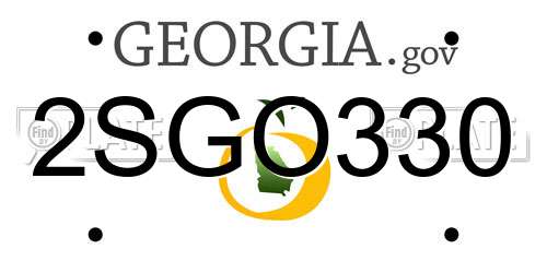 2SGO330 Georgia License Plate
