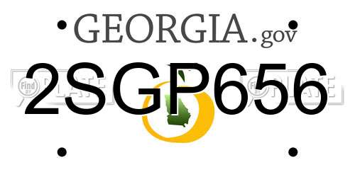 2SGP656 Georgia License Plate