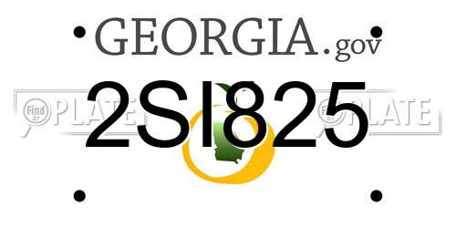 2SI825 Georgia License Plate