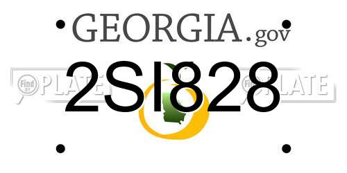 2SI828 Georgia License Plate