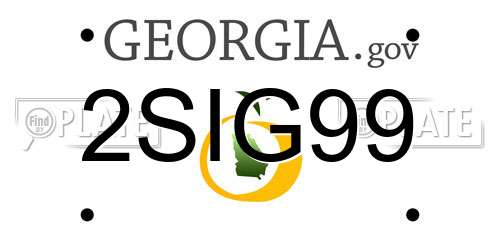 2SIG99 Georgia License Plate