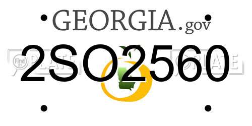 2SO2560 Georgia License Plate