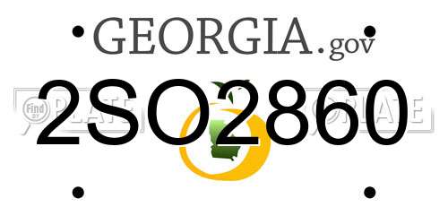 2SO2860 Georgia License Plate