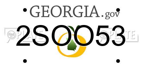 2SOO53 Georgia License Plate
