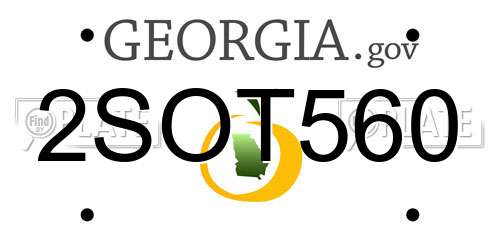 2SOT560 Georgia License Plate