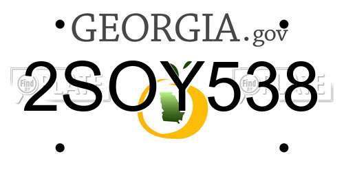 2SOY538 Georgia License Plate