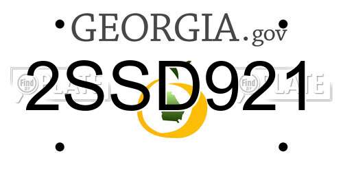 2SSD921 Georgia License Plate