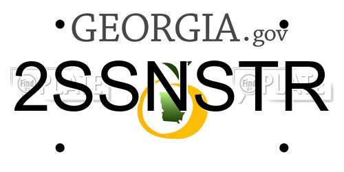 2SSNSTR Georgia License Plate