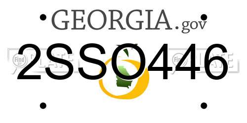 2SSO446 Georgia License Plate