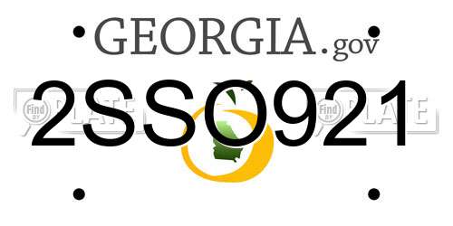 2SSO921 Georgia License Plate