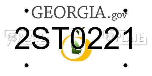 2ST0221 Georgia License Plate