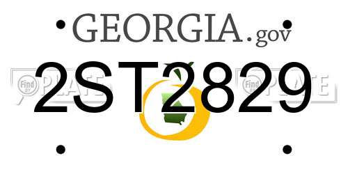 2ST2829 Georgia License Plate